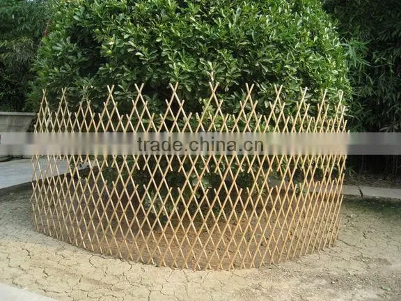 willow expanding trellis