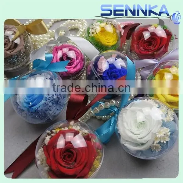 Natural preserved rose flower crafts with various colors
