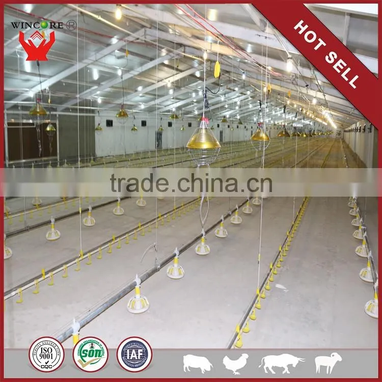 Hot salling poultry feeding system for Automatic Poultry farming equipment for Chickens