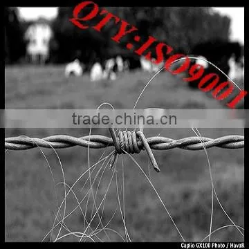 Barbed Wire,galvanized barbed wire,PVC coated barbed wire
