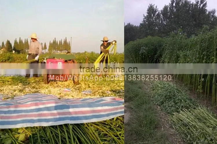 Factory Supply Hemp Abaca Fiber Opening machine