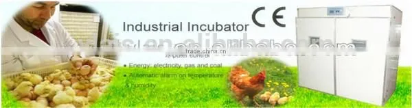 factory price full automatic egg incubator for hot sale
