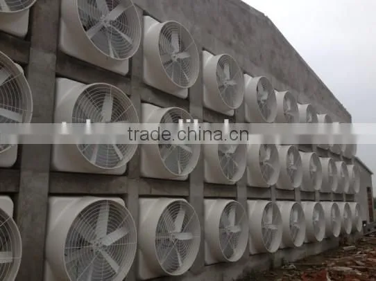 Factory directly sell Chicken house ventilation fan in Foshan,China