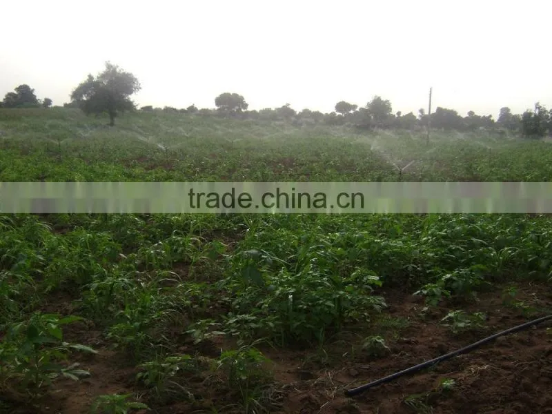 Brass Nozzle for Sprinkler Irrigation System