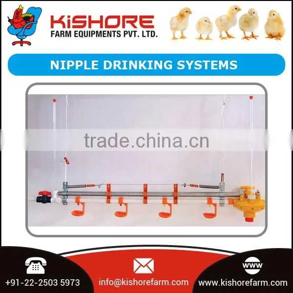 Automatic Poultry Nipple Drinking System