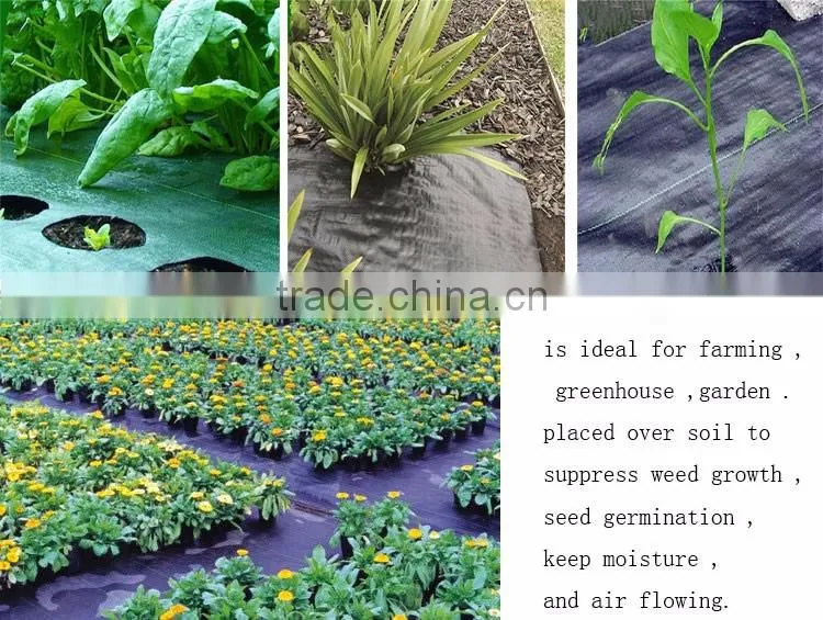 Environmental biodegradable ground cover