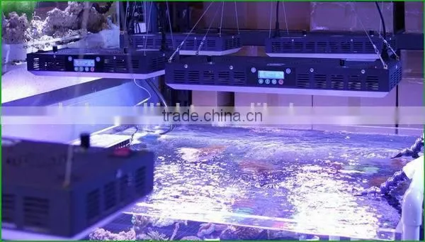 factory wholesale 55x3w led fish aquarium lights