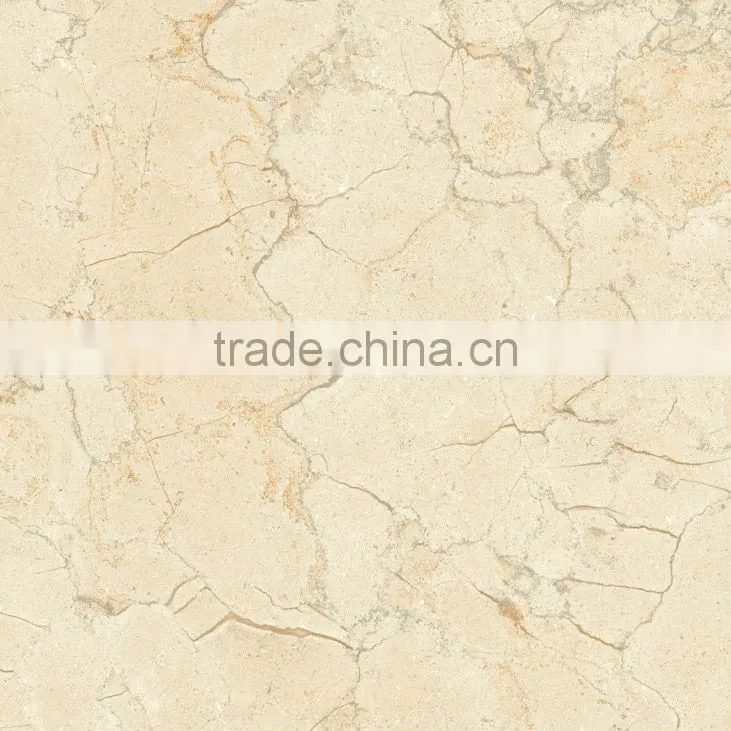 Bisini Decorative Integrate Bathroom Porcelain Tiles