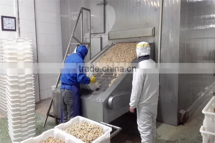 frozen boiled surf clam meat with delivery faster