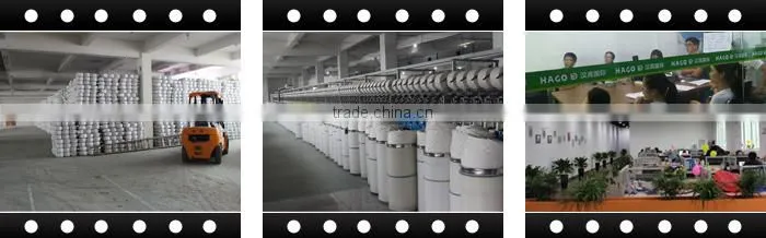 Hago Brand twist mop,mop fertilizer price