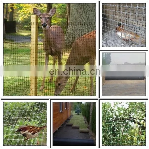 PP/ HDPE Deer netting/Bird netting/poultry netting