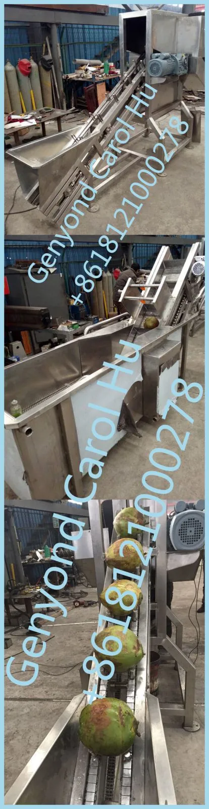 Automatic Fresh Coconut in Half Cutting Machine Price