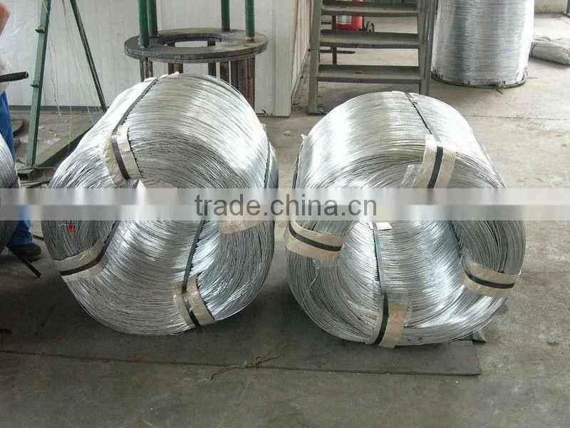 Electro Galvanized Iron Wire