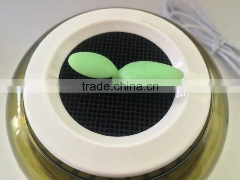 Mini air purification apparatus for car and home