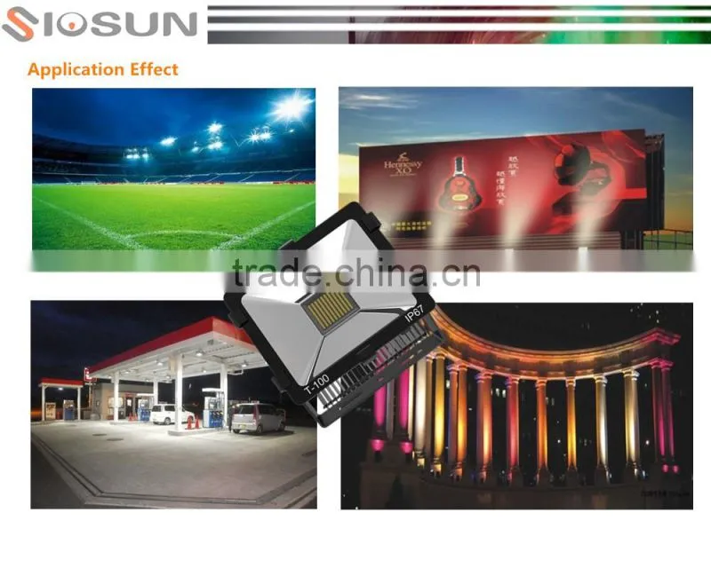 High Quality IP67 Citizen COB LED Flood Light 100w