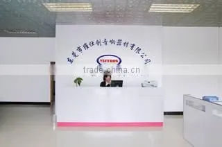 Vistron (Dongguan) Audio Equipment Co., Ltd. company overview - view 1