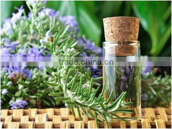 Pure Rosemary Oil From India | Natural Rosemary Oil For Export Only