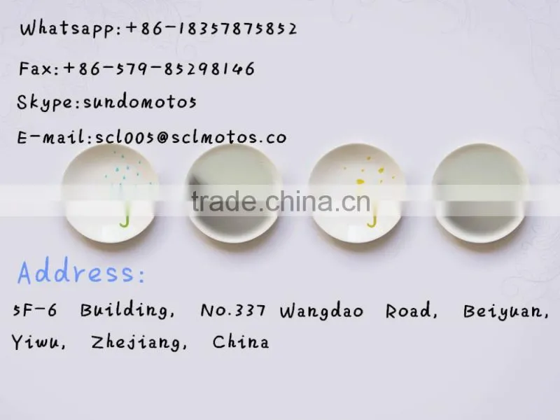 SCL-2013010104 PGO High Quality Motorcycle Filter Air