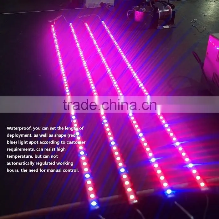 XQD shenzhen solar power 3gp king 12W led grow light