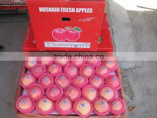 red delicious apple