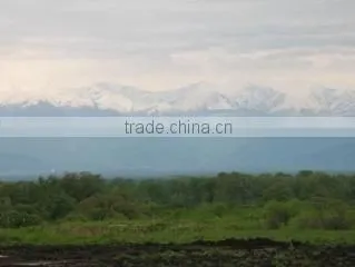 Aromaproduct Ltd company overview - view 3