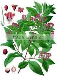 Sandalwood India Oil