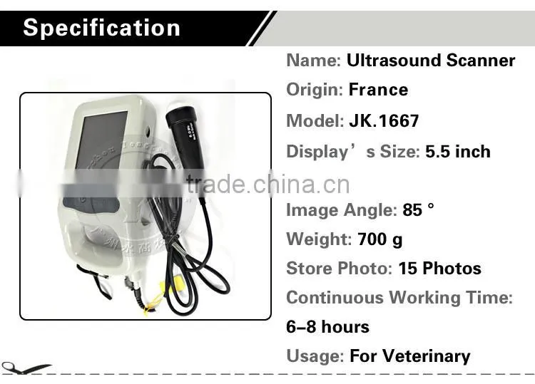 Waterproof ultrasound scanner for veterinary ultrasonography B ultrasound