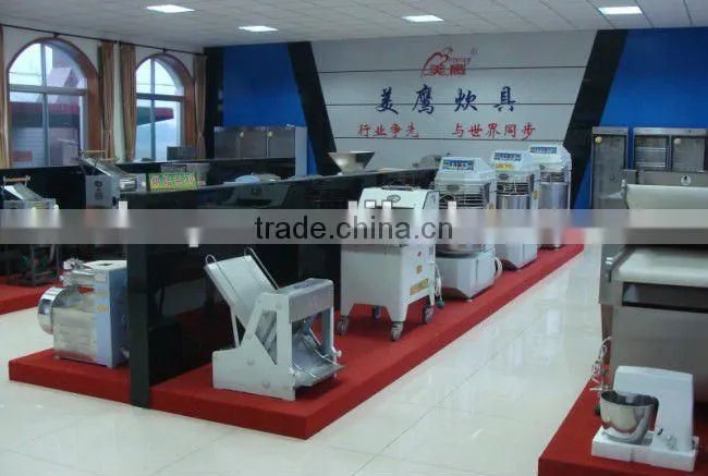 Meat Mincer/Meat Mince Machine Made by China Professional Manufacturer