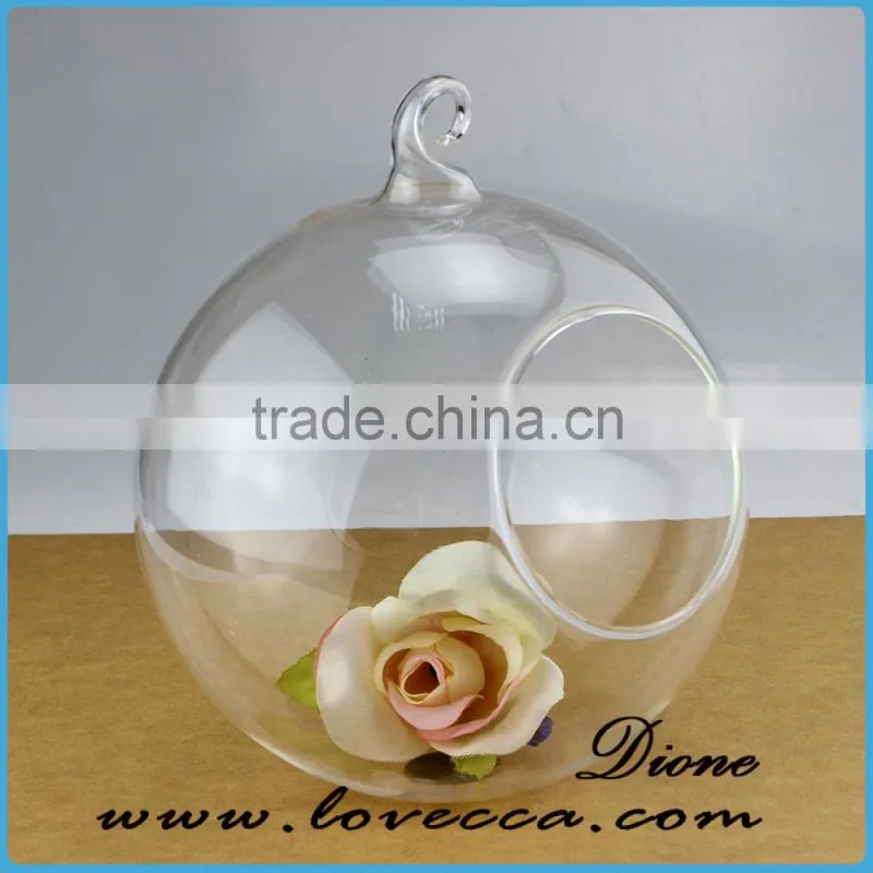 High quality Air plants handblown glass globe hanging terrarium