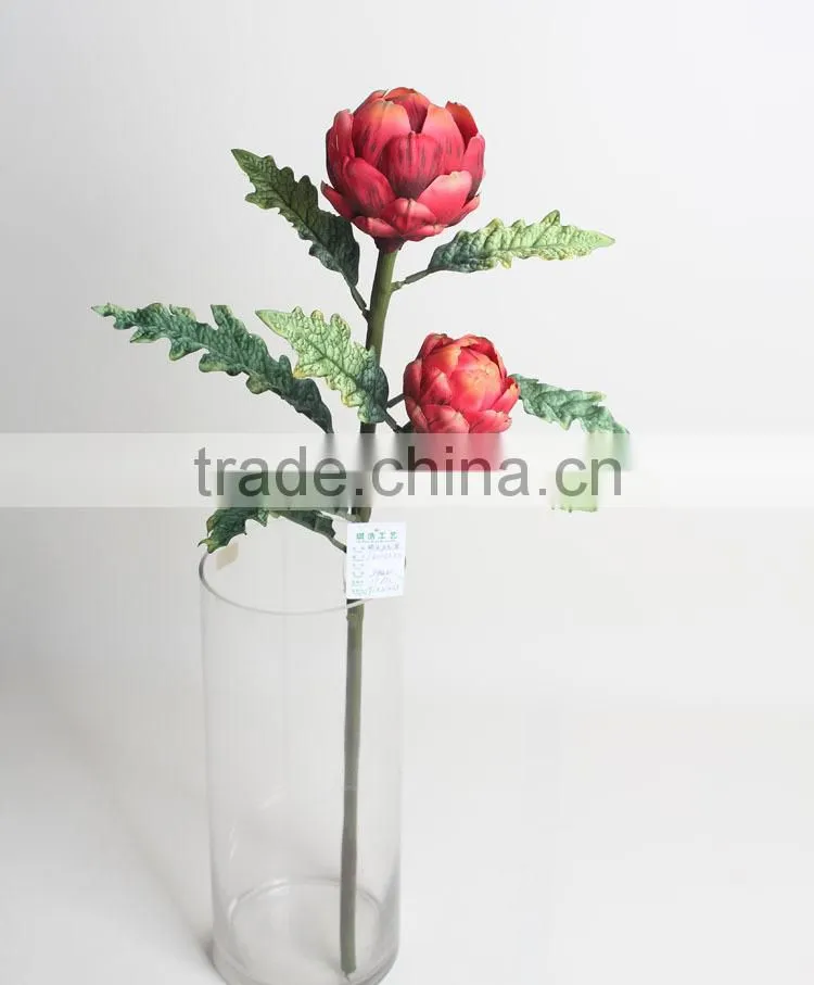 Natural Plastic Dragon Fruit Plant Decorative Fruit Plant for Decoration