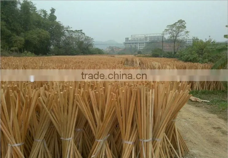 Short delivery day wooden handle for grass broom