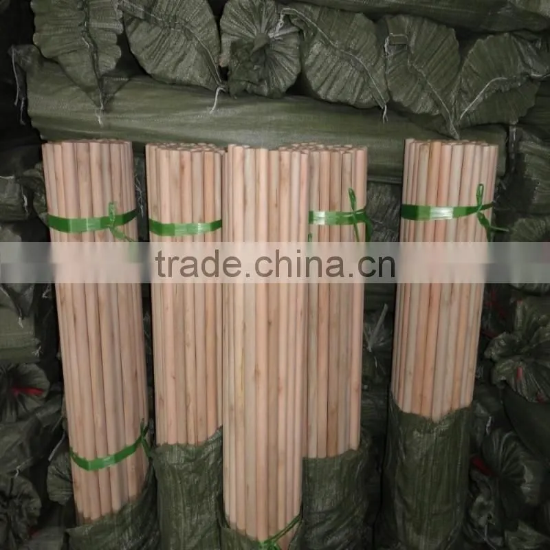 Home Usage and PET Broom Head Material broom handle