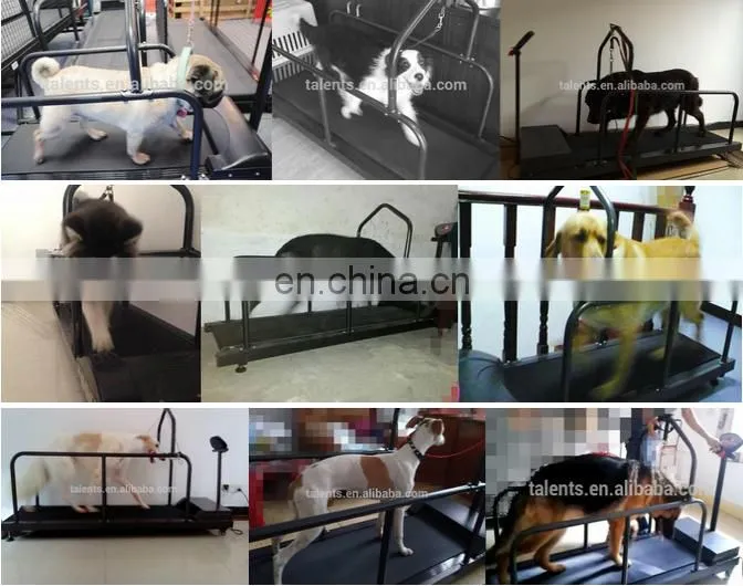loading weight 120kg dog treadmill price