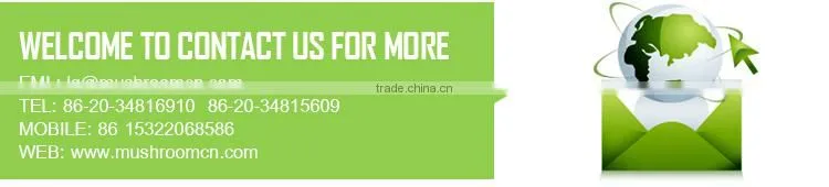 Chinese Herbal Anti-cancer Lingzhi Polysaccharide Capsule