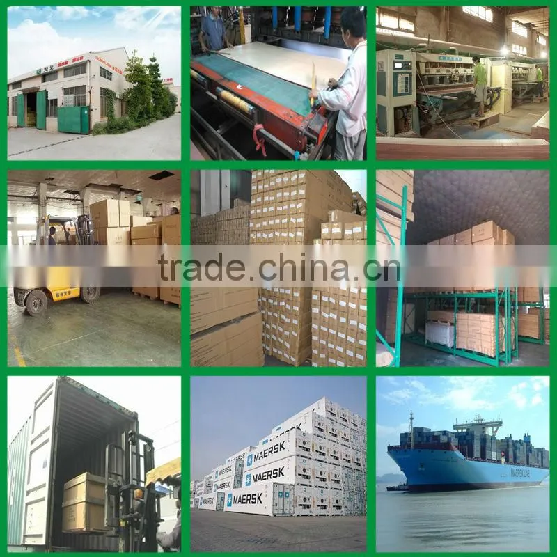 Gymnasium project acoustic ceiling panel