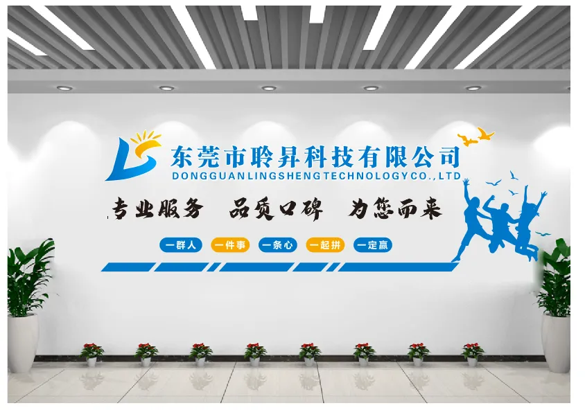 Dongguan Lingsheng Technology Co.,Ltd company overview - view 1