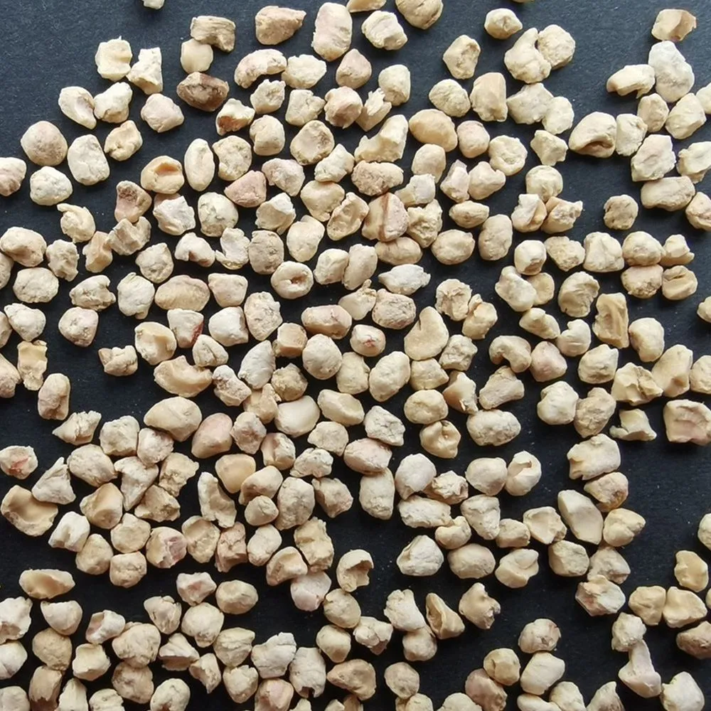 玉米芯-.jpg.webp