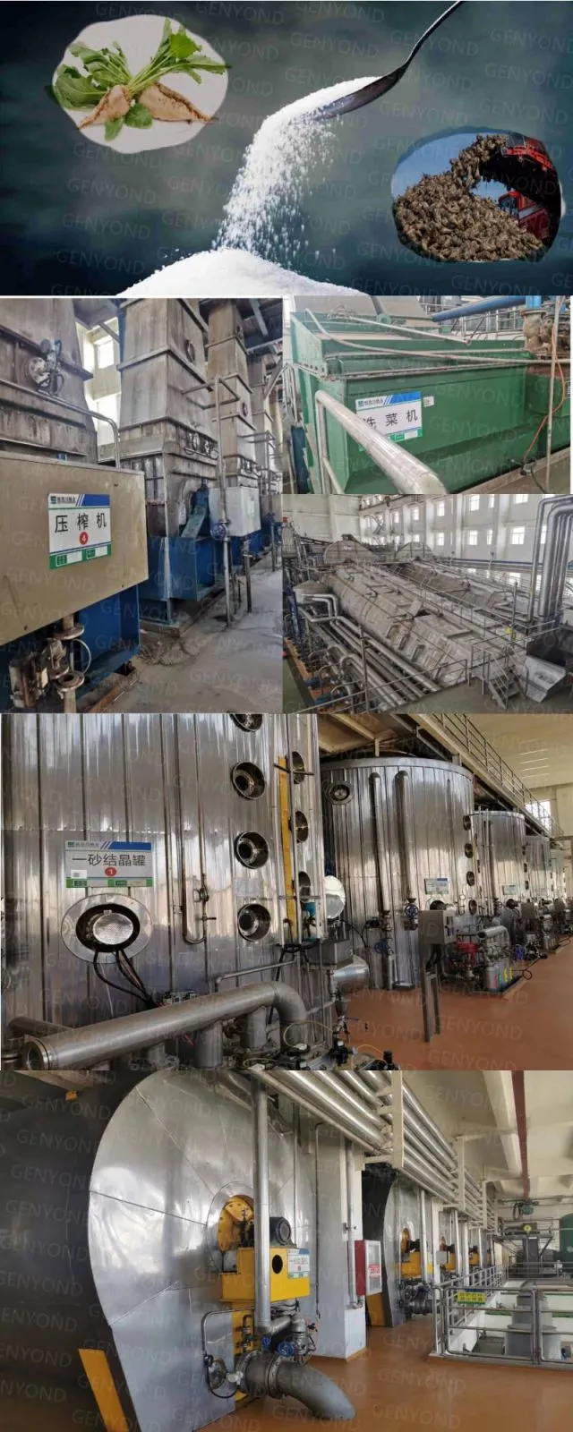 Shanghai Factory China Sugarcane & Sugar Beet Processing Machine Production Line Plant to Make White Crystal Sugar & Brown Sugar