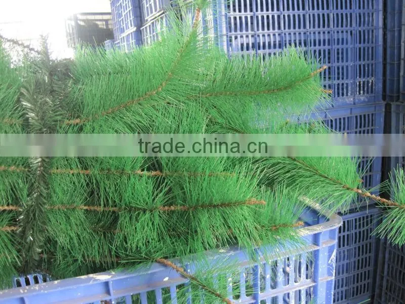 PET Pine Needles Used for Making Artifical Christmas Tree (PVC Monofilament)