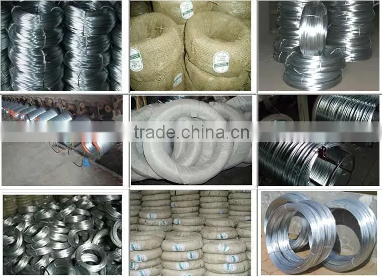 BWG22 galvanized wire in coil(manufacturers)