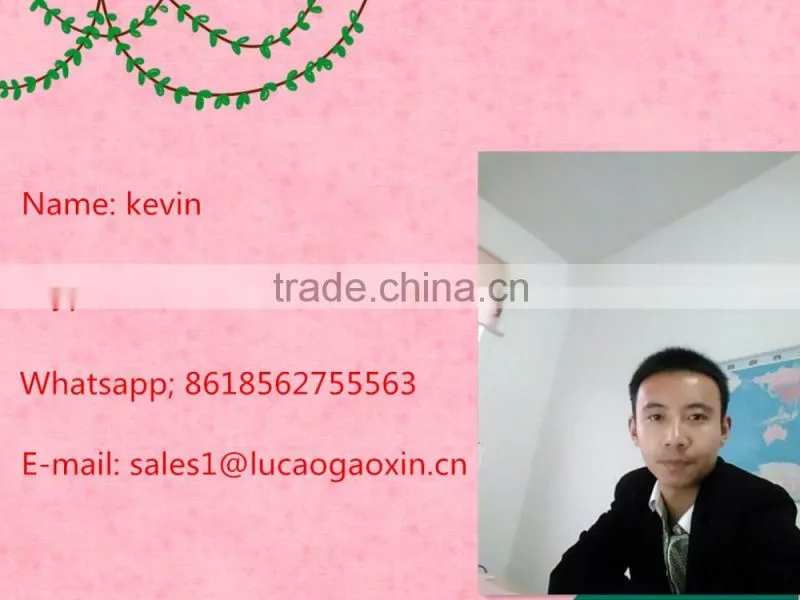 Hot sale garden beans peeling machine/garden bean skin remove machine with lower price