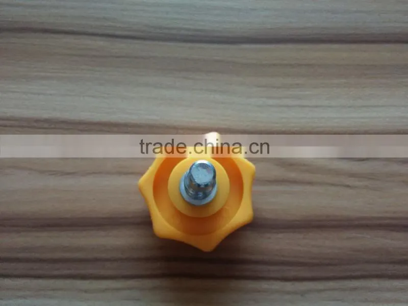 Plastic Head Steel Bolt