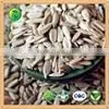 Sunflower Seeds for Birds small seed high oil content