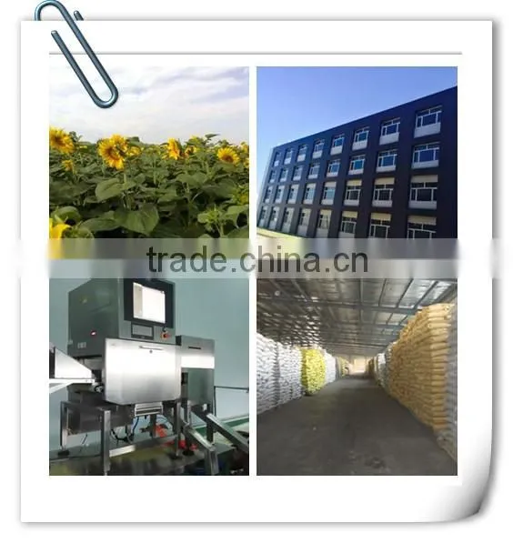 Chinese wholesale Sunflower Seeds with Good Quality 2015 New Crop 5009 363 0409