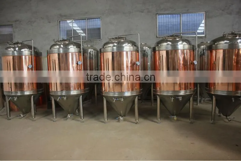 80 US gallon Brew kettle and brewing line,Promotional Beer brewery equipment, Double jacketed Beer Fermentation Tank
