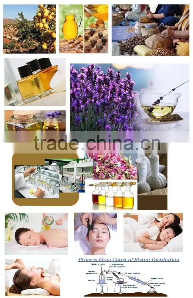 2016 New product french hanging car air fresheners, car perfume of natural vegetable oil