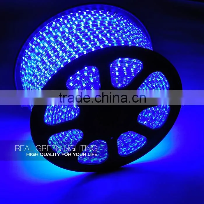 220V waterproof blue 5050 flexible led strip light