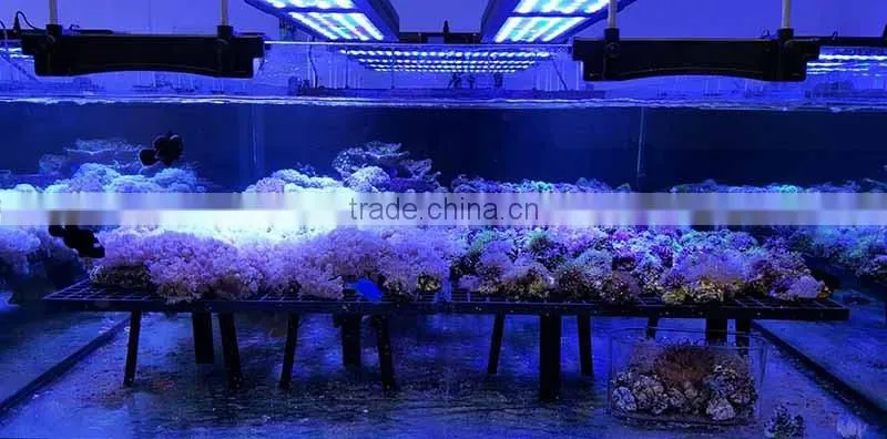 Adjustable bracket for Height and length EverGrow IT5012 led aquarium light