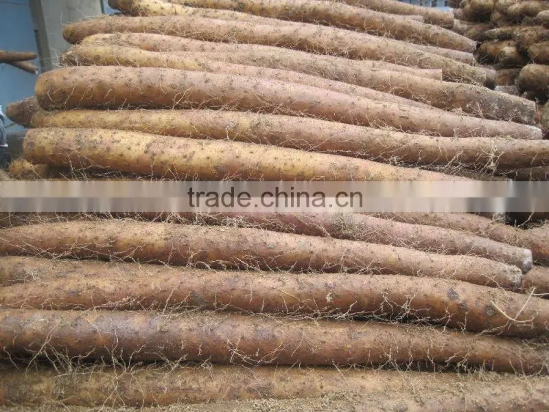 Vacuum Packing Fresh Yam