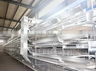 Henan Silver Star Poultry Equipment Co., Ltd. company overview - view 1